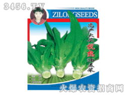 从种子到财富 蔬菜种子招商加盟的全链路机遇解析