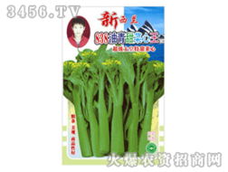 绿色沃土，共盈未来——蔬菜种子招商加盟全解析