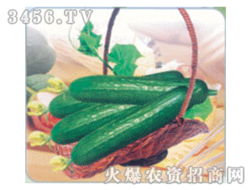 蔬菜种子招商加盟 抢占绿色黄金赛道，开启合作共赢新篇章