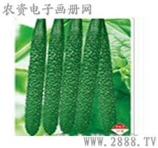 瓜果蔬菜种子大全 精选蔬菜种子指南