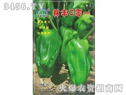 蔬菜种子招商模式创新 撬动现代农业市场的优质切入口