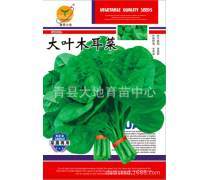 蔬菜种子产品库 打造高效种植的基石