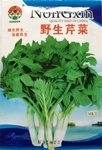 水芹菜种籽公司_水芹菜种籽厂家/批发/供应商 