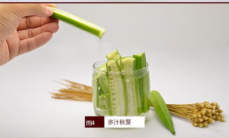 高原绿色宝藏 奥运蔬菜种子黄秋葵的种植与养护指南